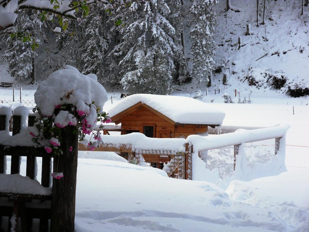 Appartement Sattlehnerhof Ramsau am Dachstein